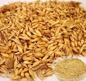 extrato de malte para panificação