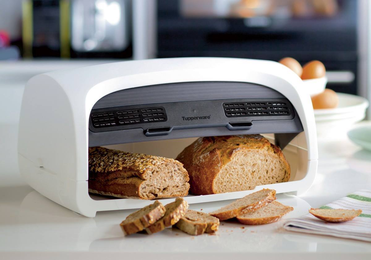 Descubra as melhores aplicações para produtos antimofo com a Pantec!